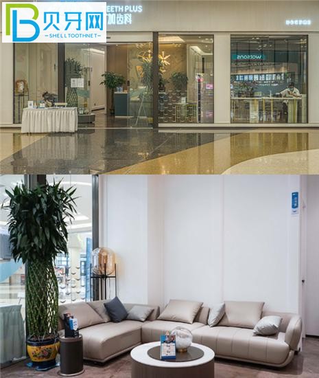 貴陽T加口腔費(fèi)用