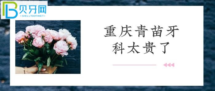 重慶青苗牙科收費(fèi)價(jià)目表帶大家一覽，看是否如網(wǎng)傳所說(shuō)