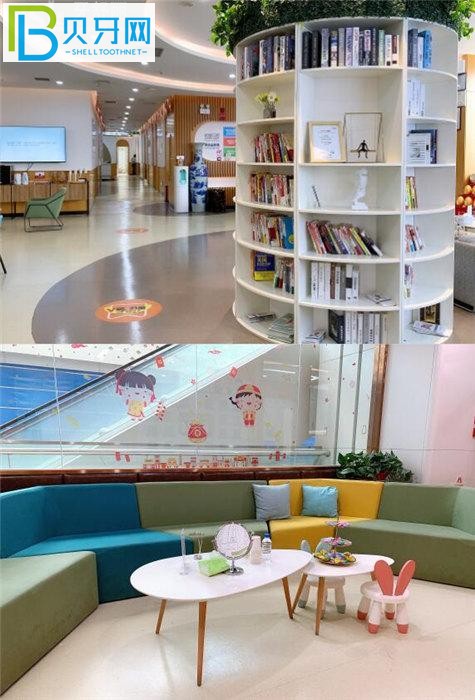 昆明松鼠口腔環(huán)境圖片
